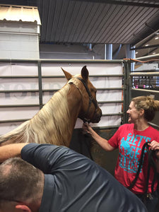 Integrated Equine Sports Therapy Session