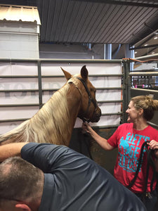 Integrated Equine Sports Therapy Session - We are NOT currently working on horses.