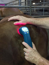 Load image into Gallery viewer, Integrated Equine Sports Therapy Session - We are NOT currently working on horses.