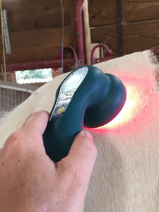 Integrated Equine Sports Therapy Session